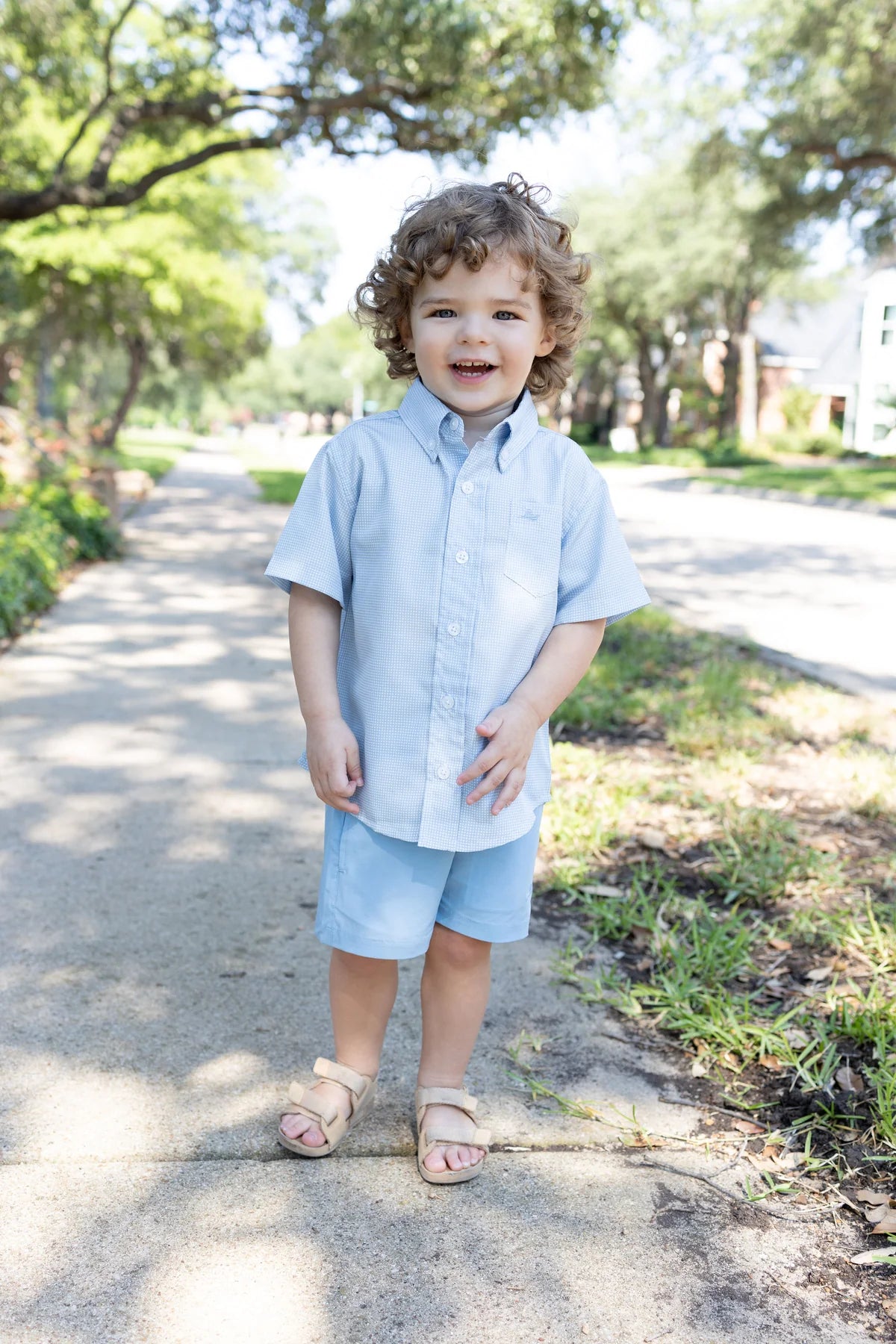 Perf Dress Shirt- Mini Blue Gingham