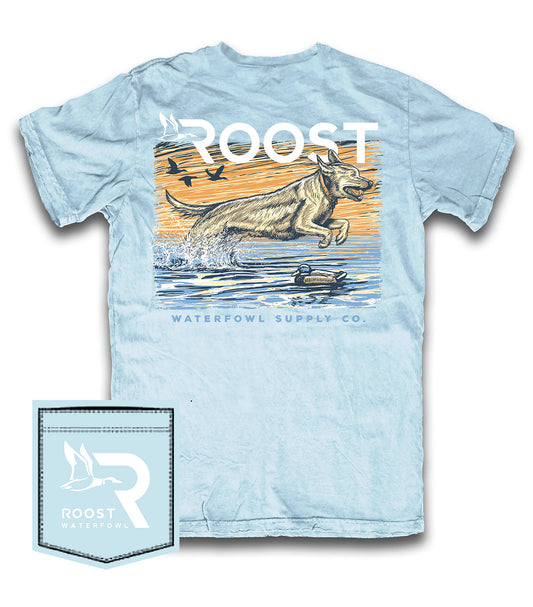 Youth Roost Lake Lab