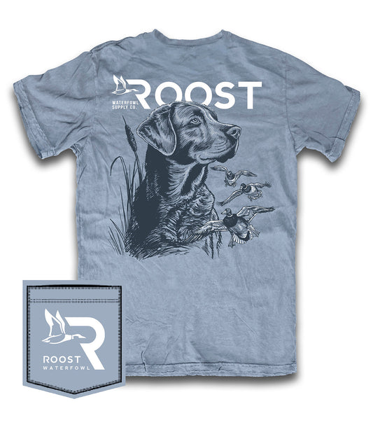 Youth Roost Monotone Lab