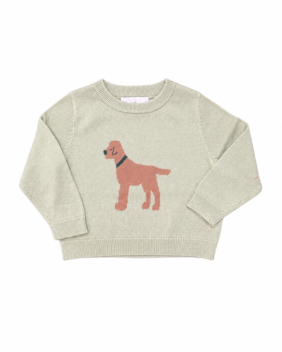 Green Dog Sweater