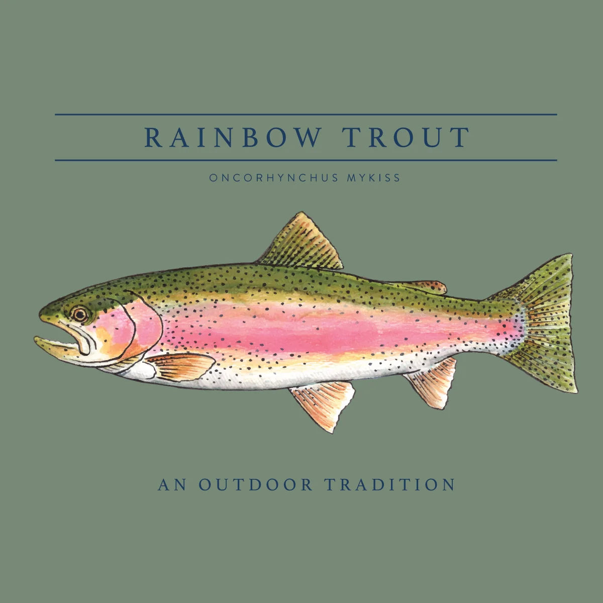 Boys' Short Sleeve Cotton T-shirt in Hedge Green with Rainbow Trout Fish